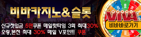 비바카지노
