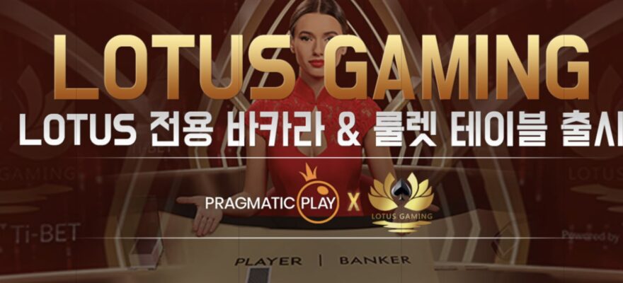 플랜카지노 가입코드·이벤트·쿠폰·도메인·주소 안내