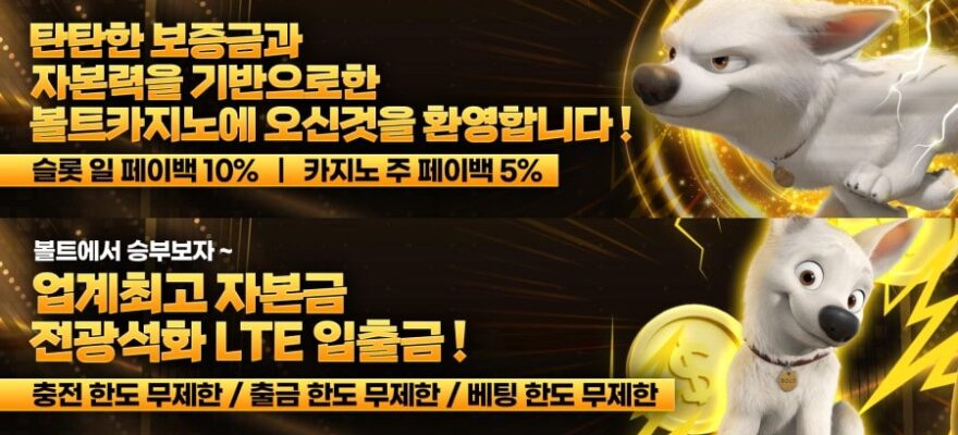 볼트카지노