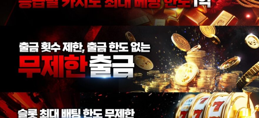 하이카지노