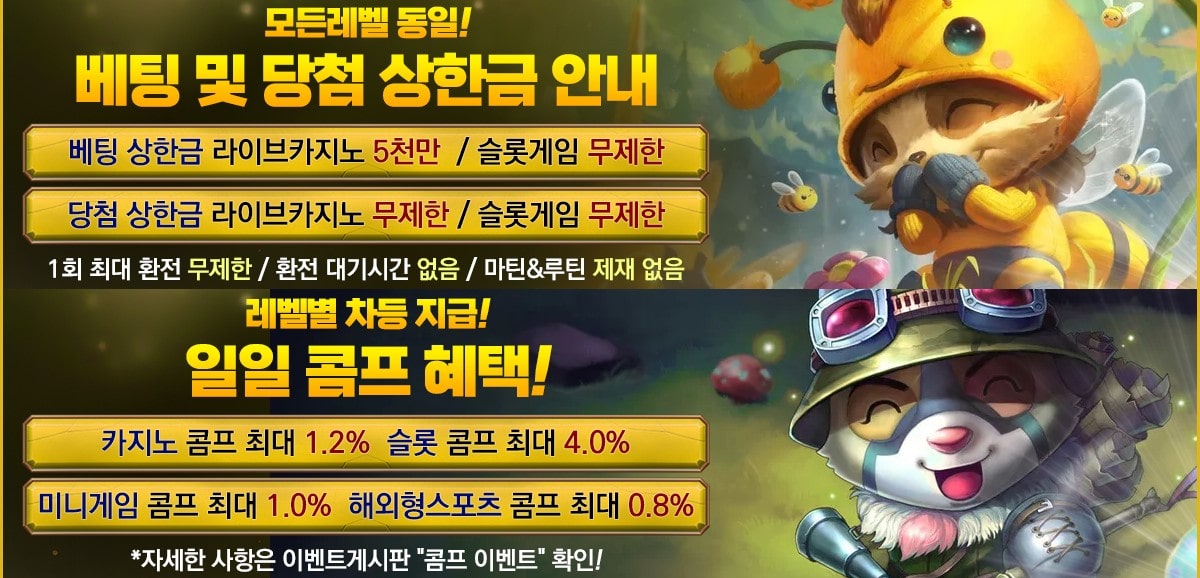 티모카지노 가입코드·이벤트·쿠폰·도메인·주소 안내