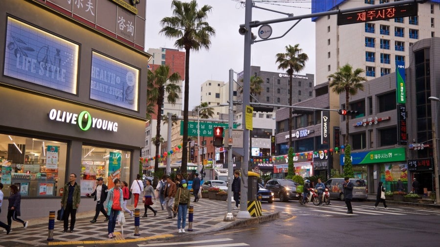 제주도의 관광 산업과 기반 산업이 큰 격차를 보이는 이유
